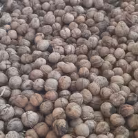 گردو  تویسرکان 