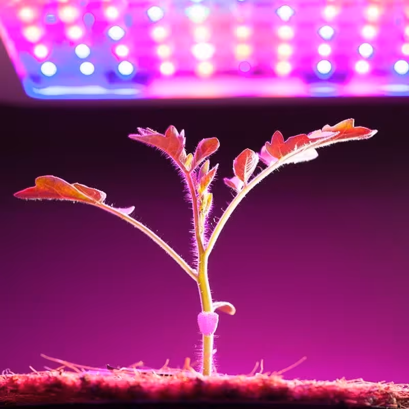 پرژکتور 100وات رشد گیاه شعاع نور IP67