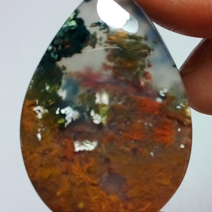 شجر هفت رنگ ناب