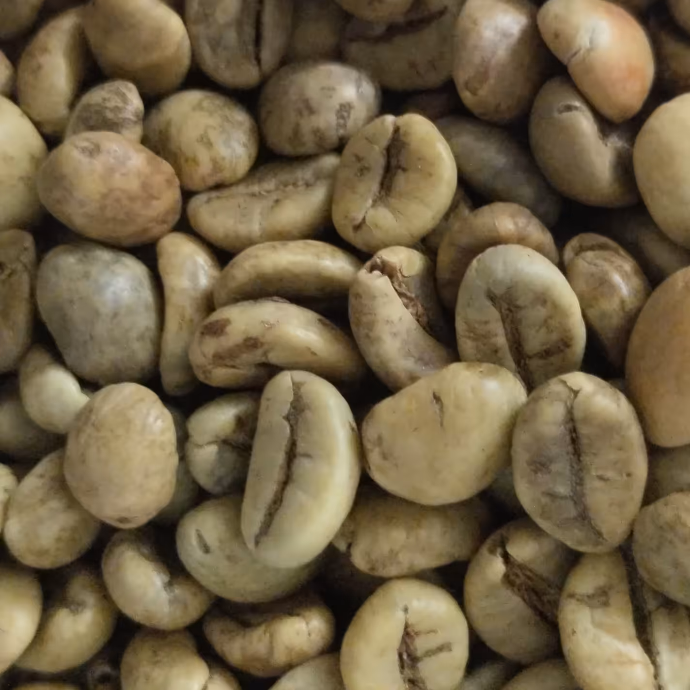 قهوه سبز ناساب سفارش بروز آسیاب میشه