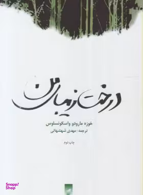 درخت زیبای من