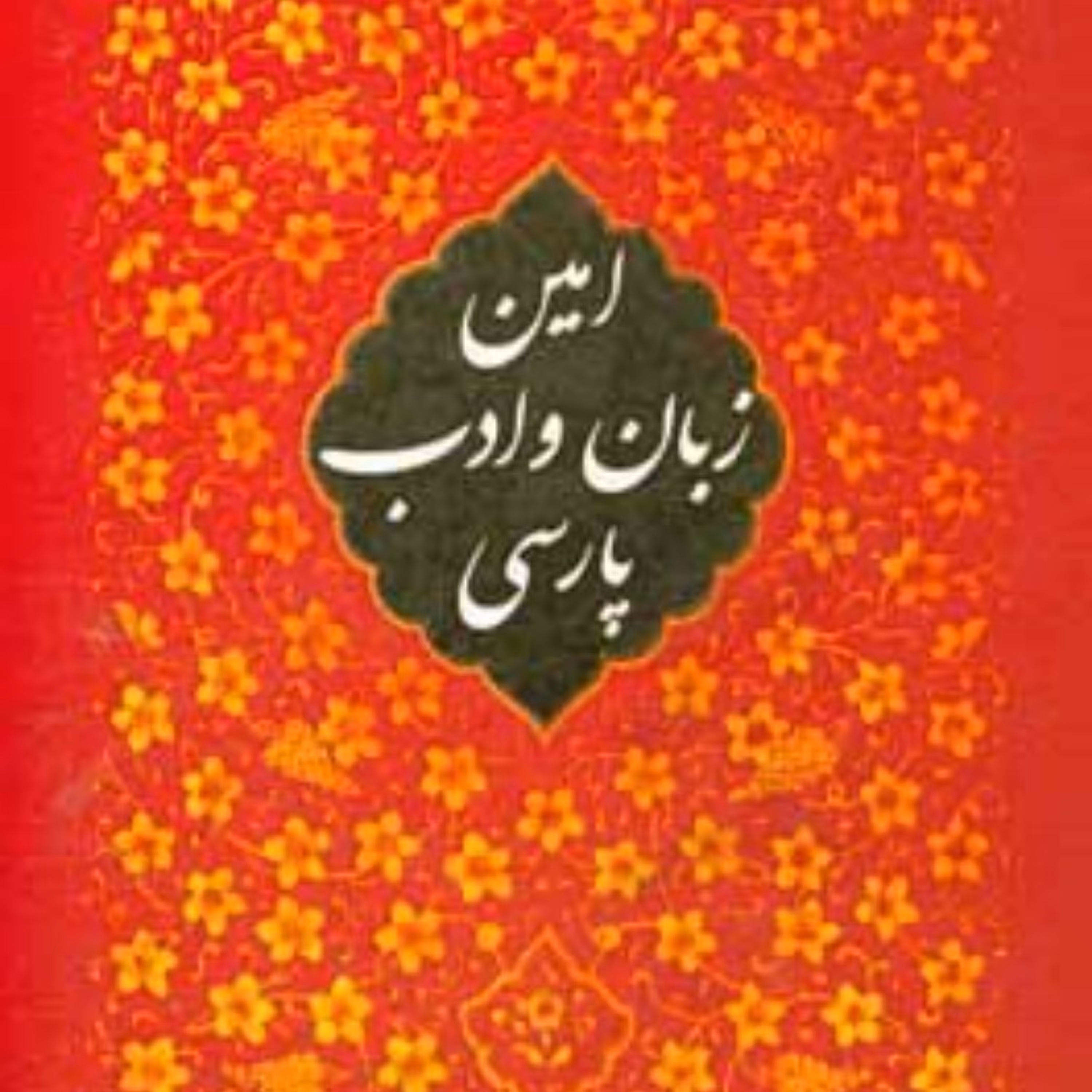 کتاب امین زبان و ادب پارسی