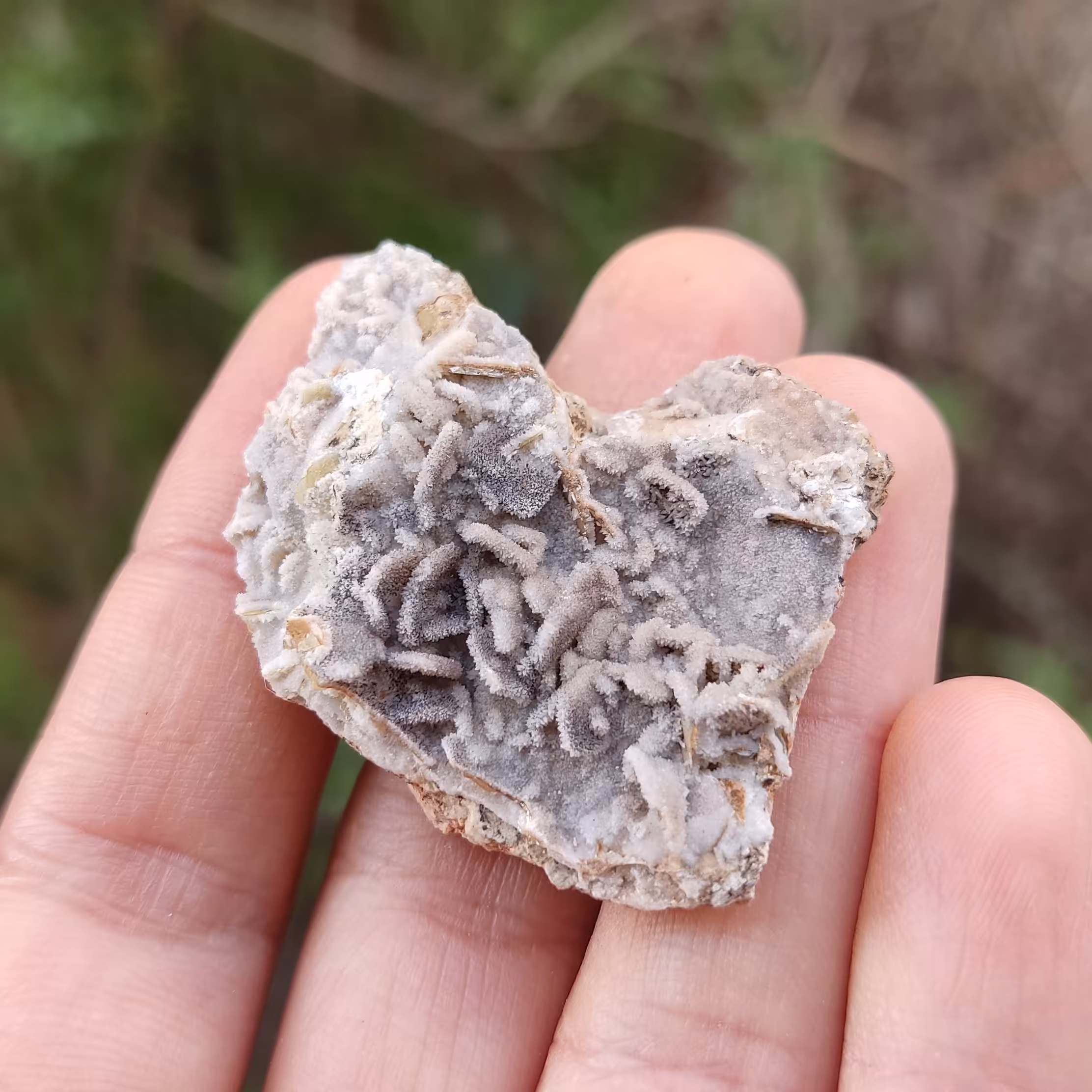 سنگ ولفونیت با هم رشدی کلسیت کلکسیونی (کد29)