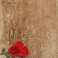 پارکت لمینت رنگ چوب کرم کد 635