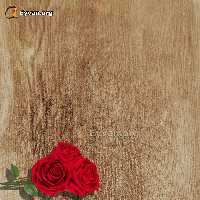 پارکت لمینت رنگ چوب کرم کد 635