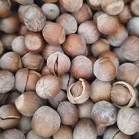 فندق زنجان خام