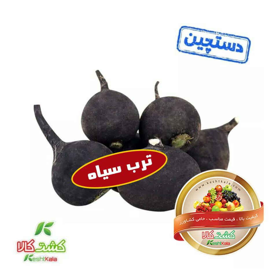 ترب سیاه فله