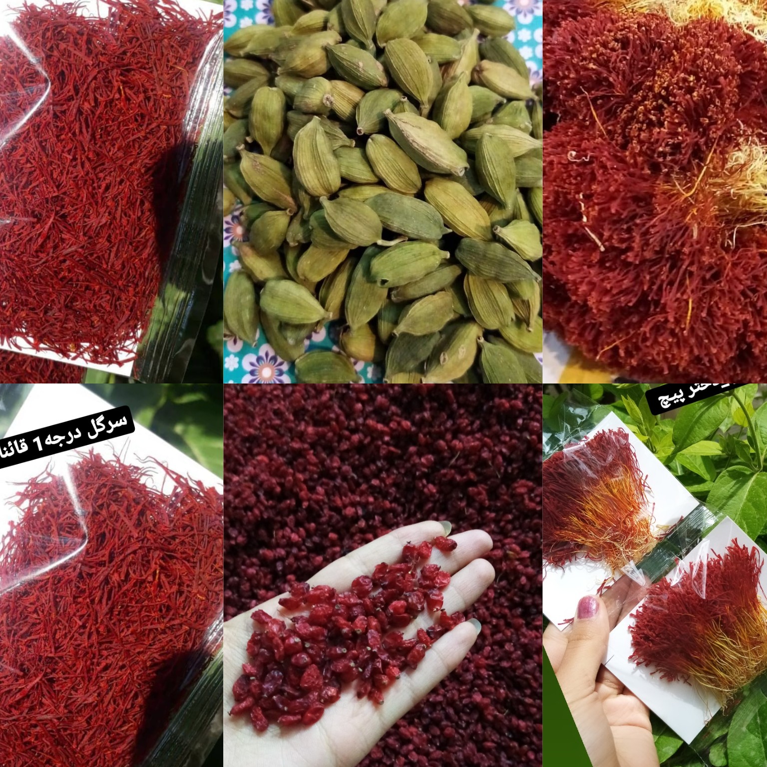 پاکت یک مثقالی قاینات