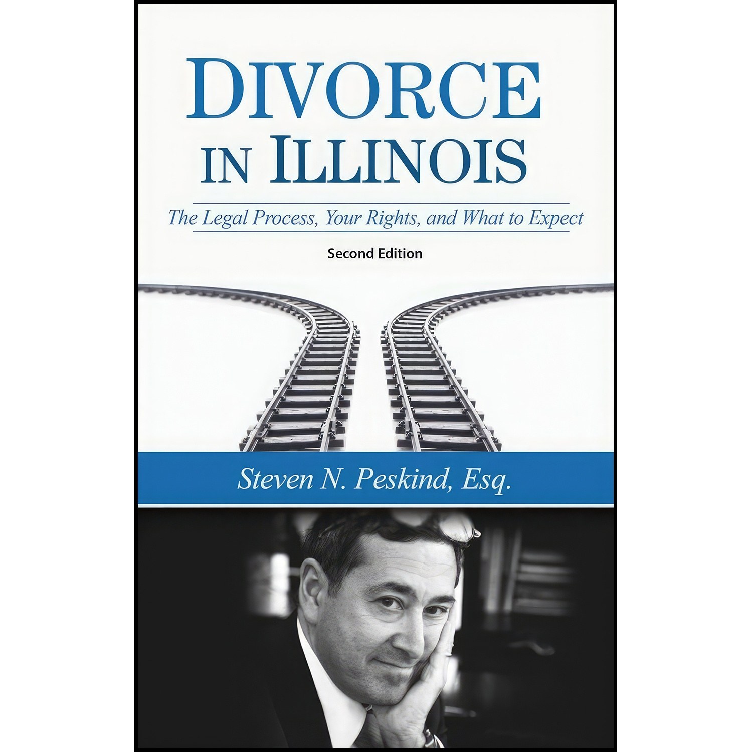 کتاب زبان اصلی Divorce in Illinois اثر Steve Peskind
