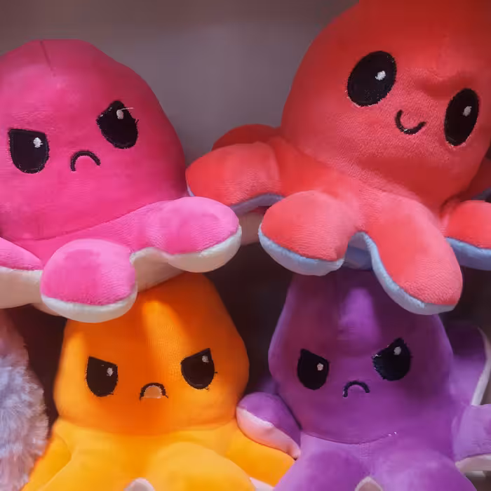 اختاپوس مودی(هشت پا) دو رو اخمو و خوشحال