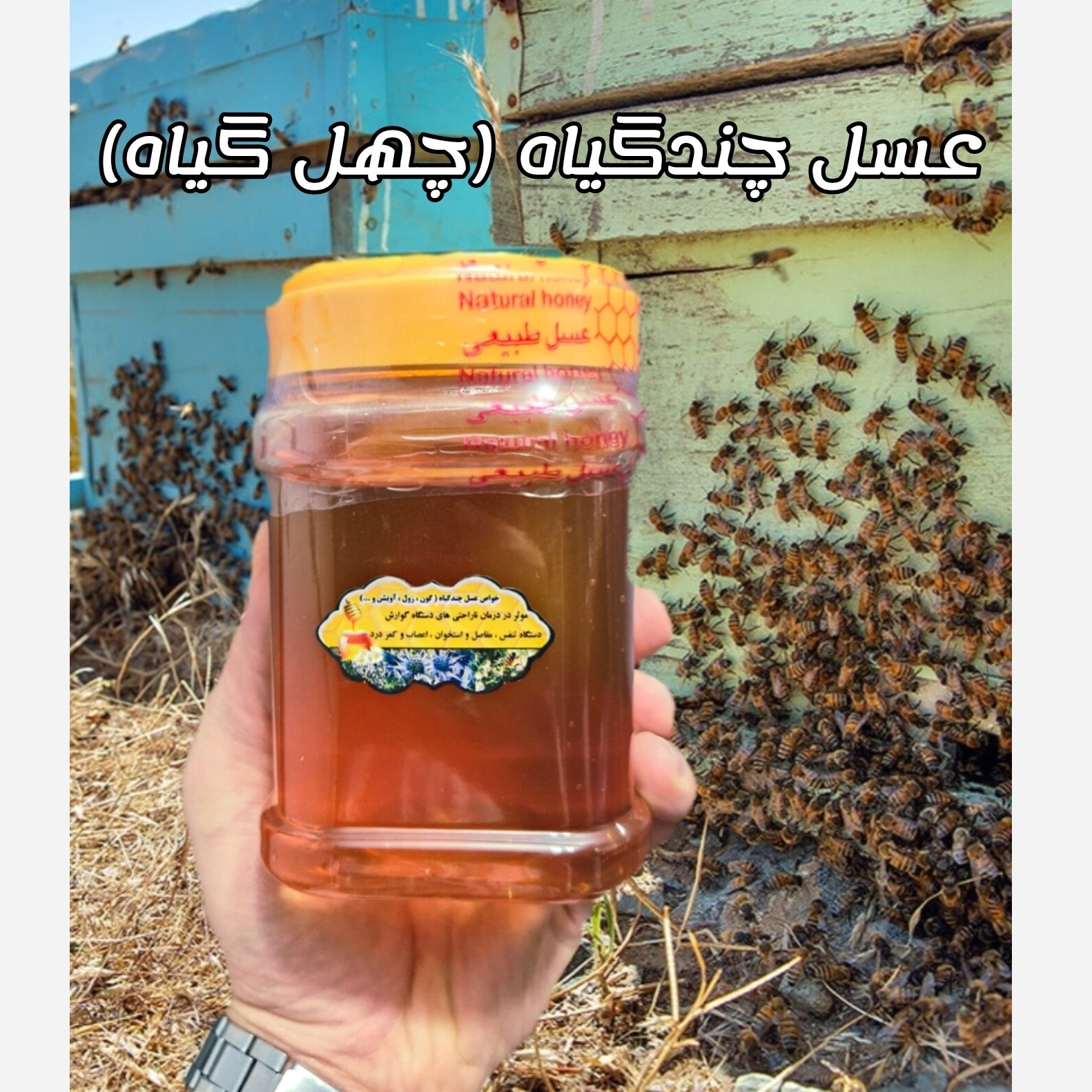 عسل چندگیاه 1 کیلویی-دشتی و کوهی(خرید مستقیم از زنبوردار )