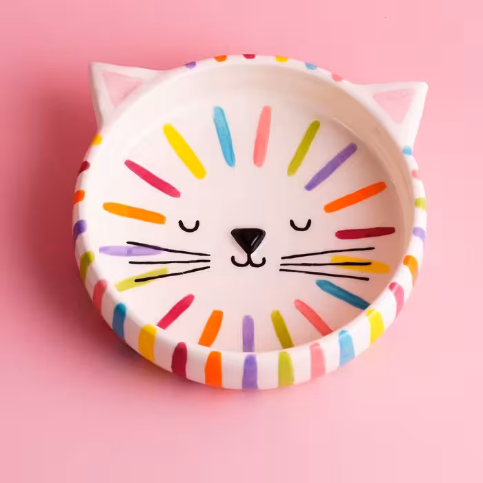 ظروف غذاخوری کودک سرامیک دستساز با متریال بهداشتی و عالی ، سبک و زیبا 