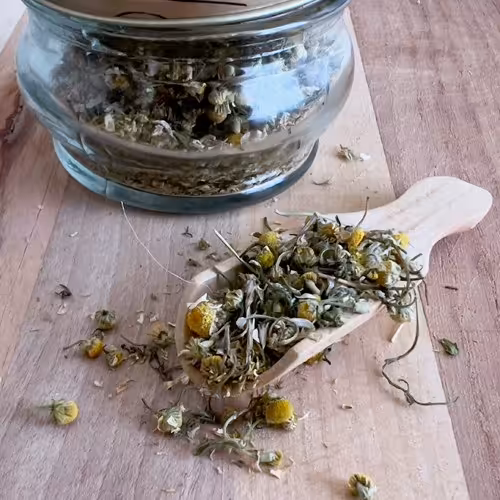 بابونه شیرازی 100 گرمی