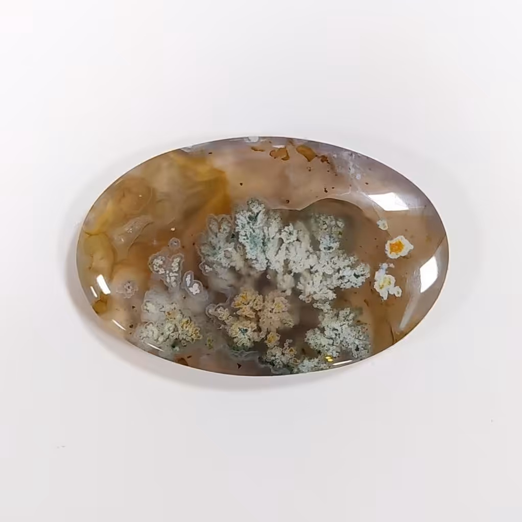 شجر بهاره درشت و کلکسیونی 