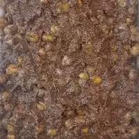 زیتون پرورده خانگی پر گردو(500)گرم