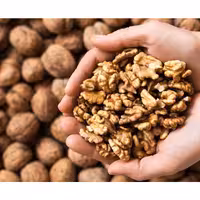 مغز گردو محصول کردستان- 500 گرم