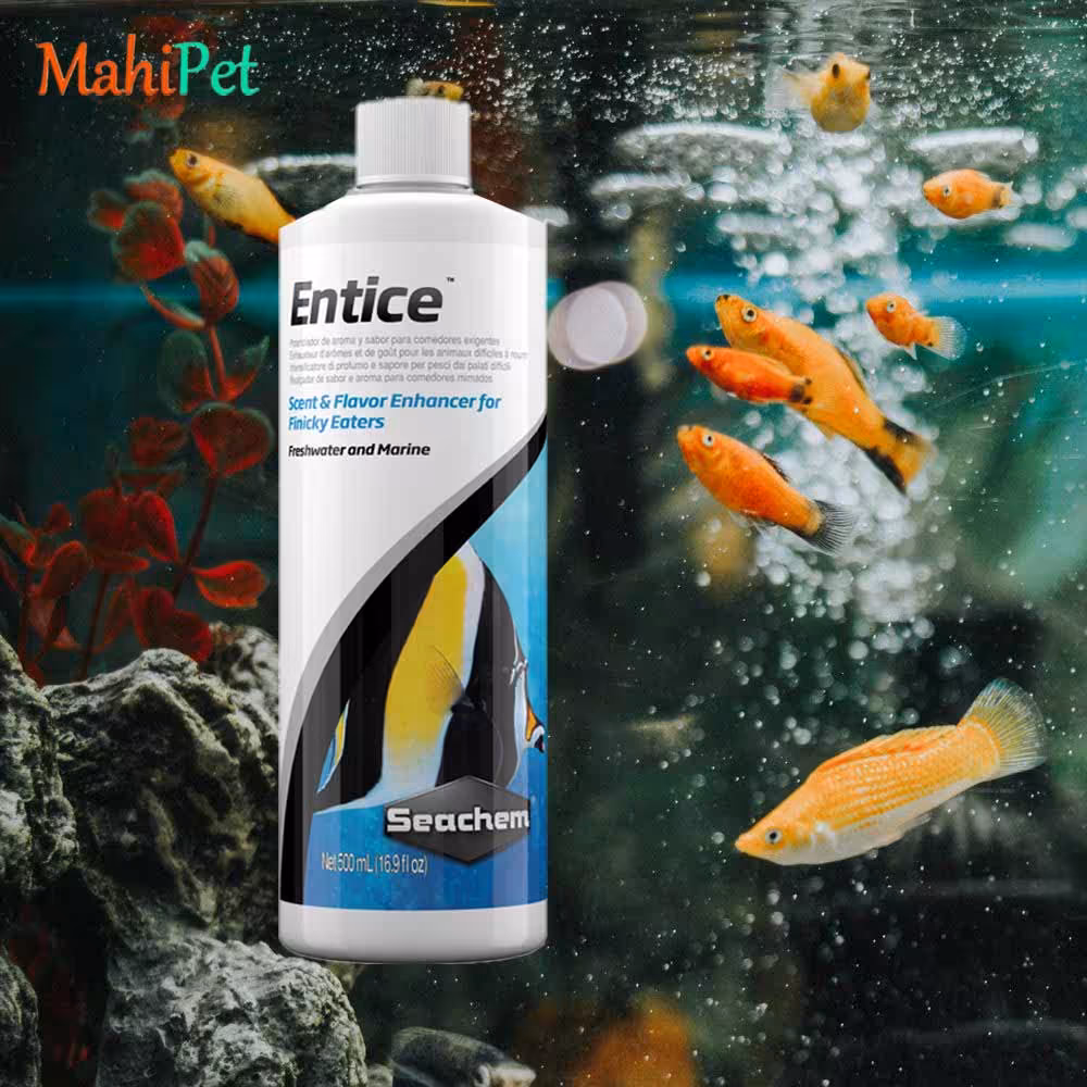 محلول مکمل طعم دهنده غذای ماهی حساس سیچم seachem Entice حجم 500 میلی لیتر