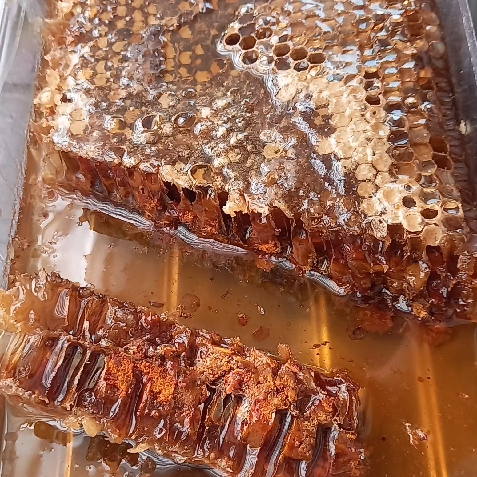 عسل گرده دار طبیعی خالص اردبیل (2کیلویی)