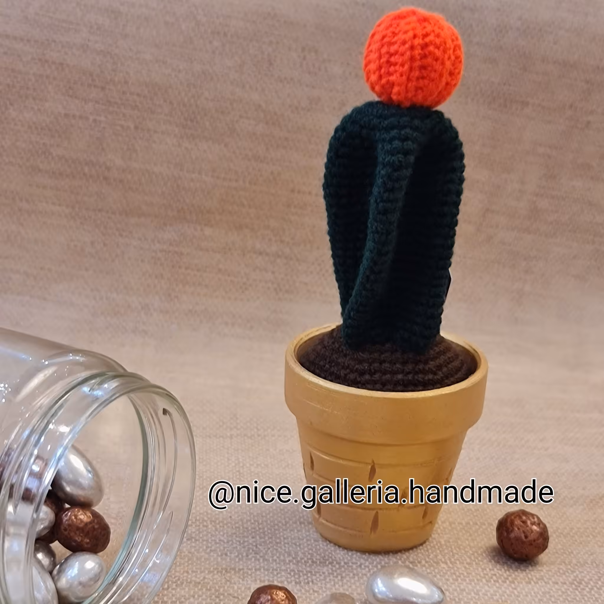 کاکتوس با گلدان سفالی 