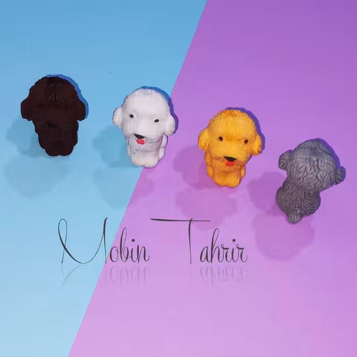 پاکن و سرمدادی طر ح سگ 