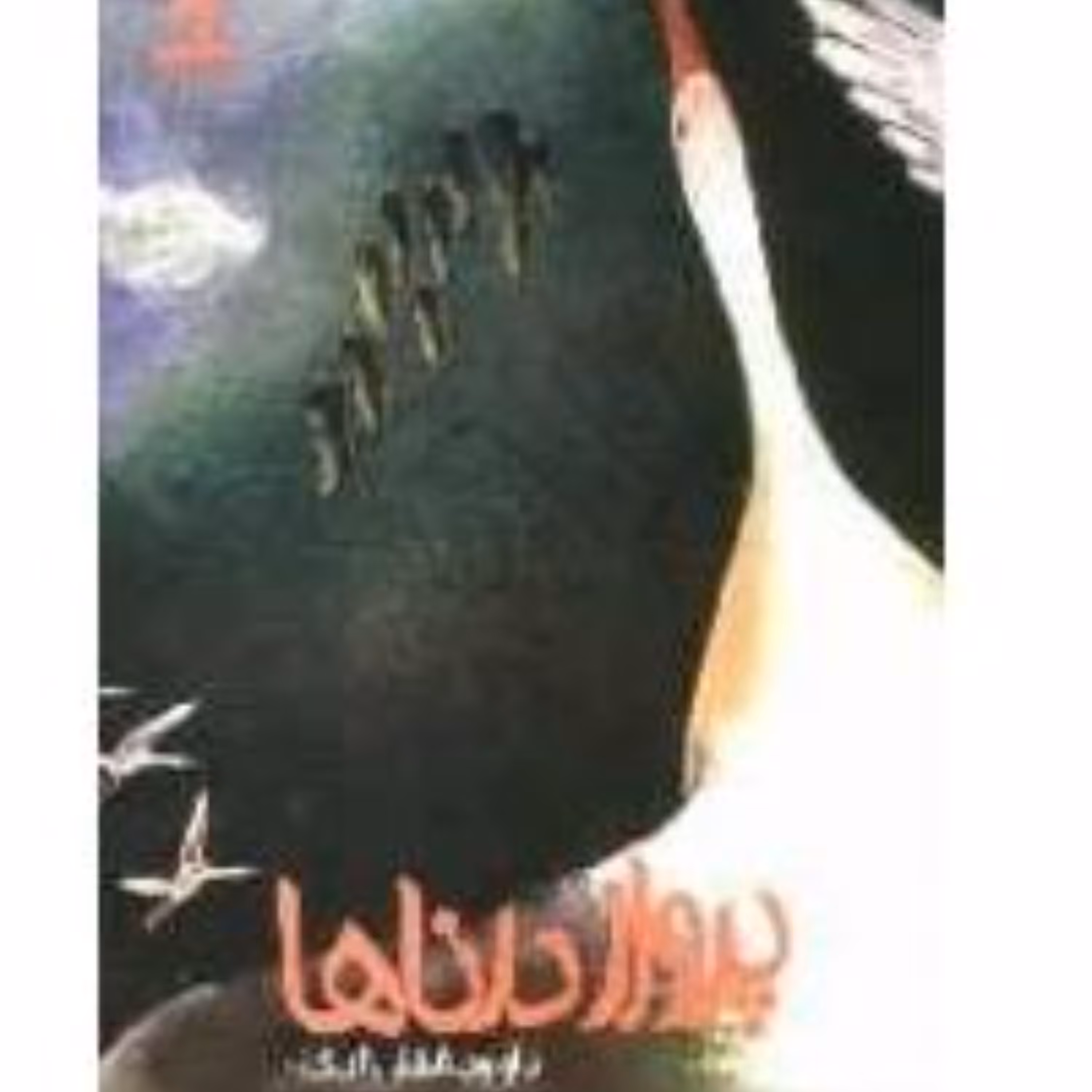پرواز درناها (رمان نوجوان)
