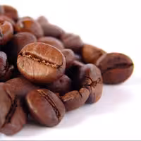 دانه قهوه 100 درصد روبوستا هند چری گرید 1 یک کیلو گرمی