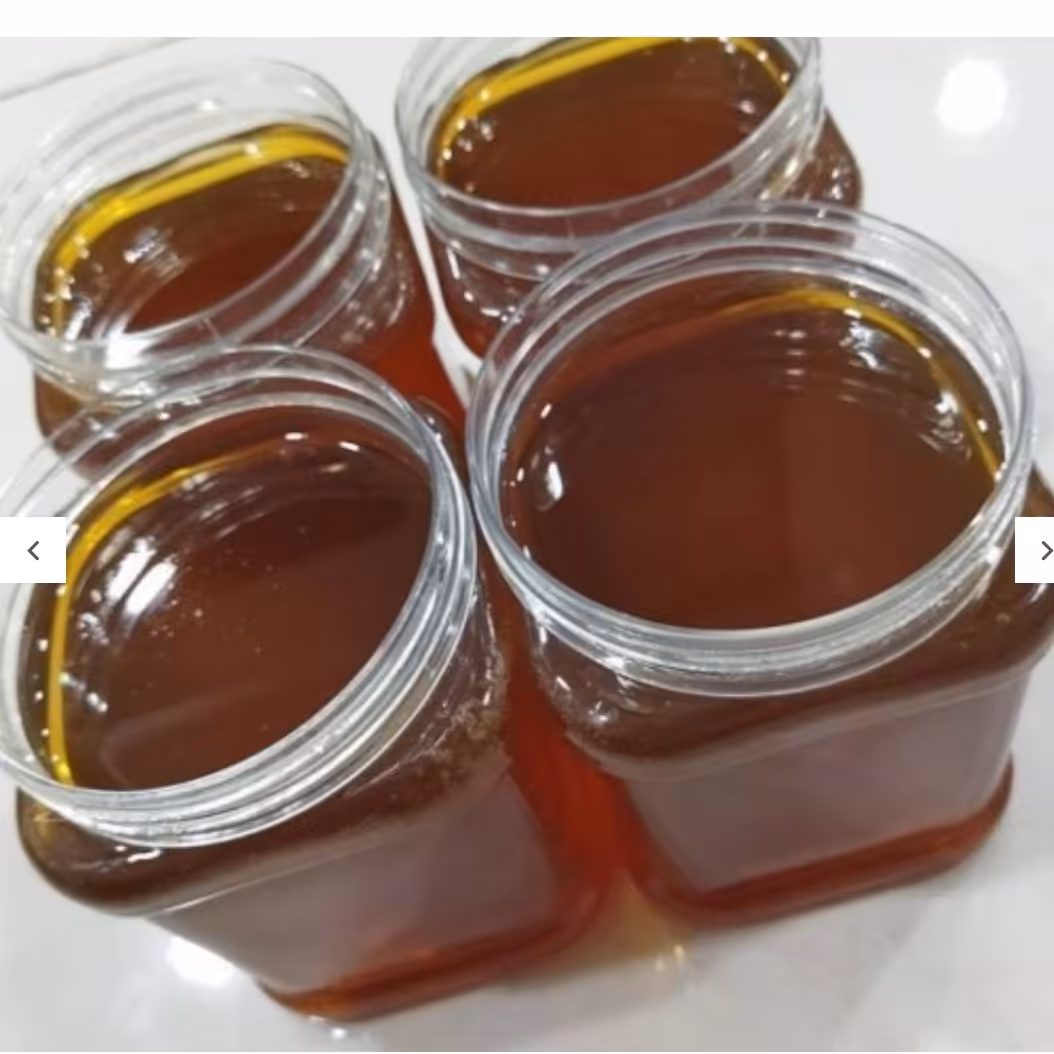 عسل ارگانیک کوهی با کیفیت عالی و تازه محصول دامنه های ارتفاعات شمال خراسان (یک کیلویی)