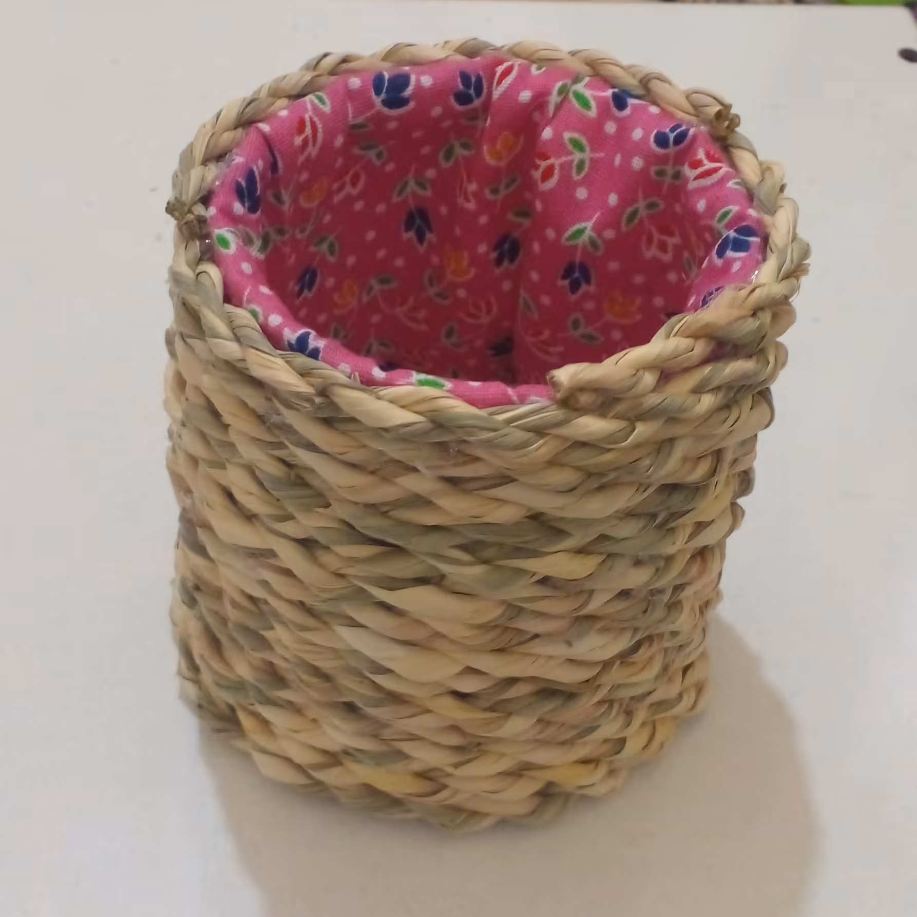 جاشونه ای حصیری