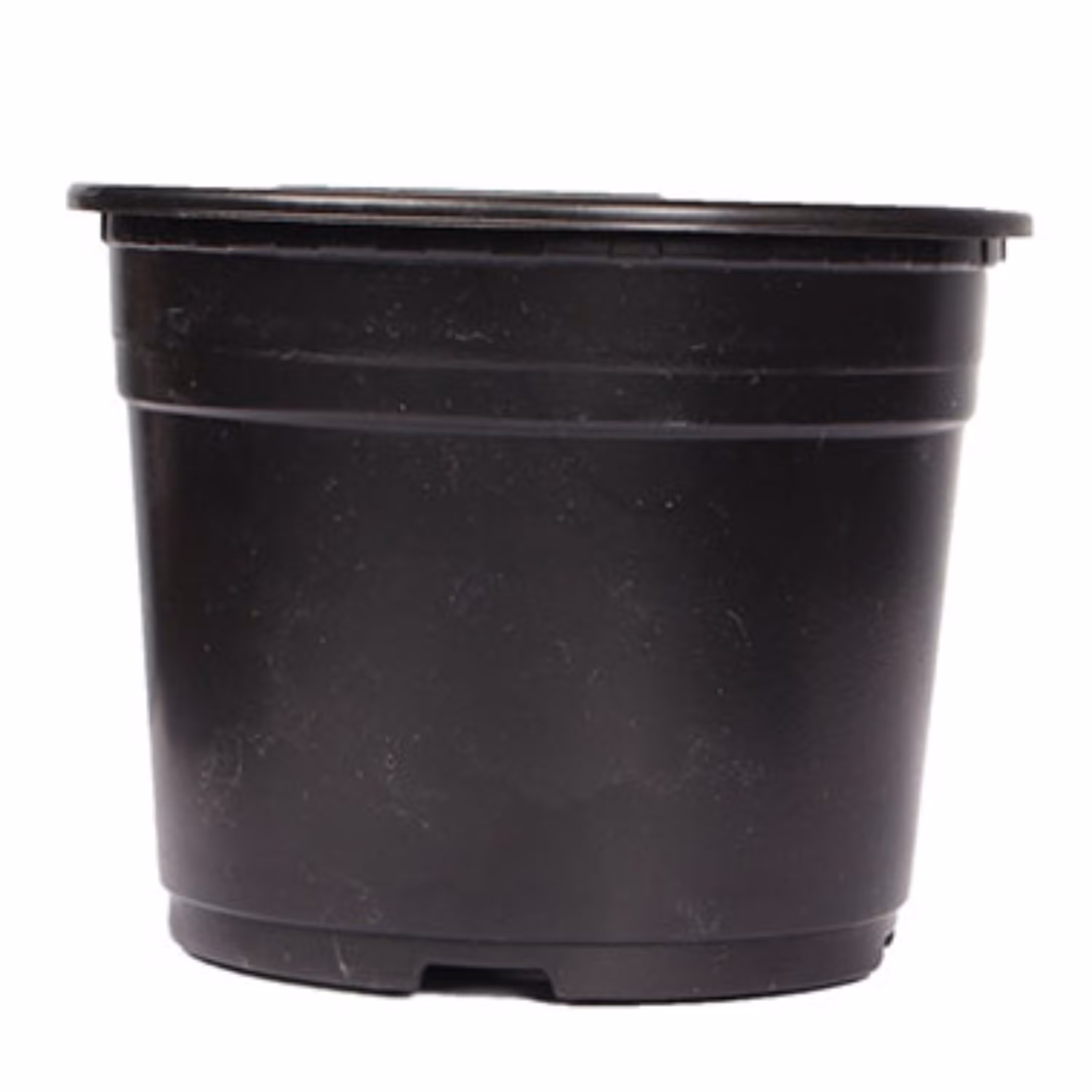 گلدان ژله ای پایه کوتاه سایز 12