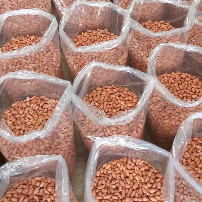 بادام زمینی آجیلی شور شده ارسال رایگان تازه 2 کیلویی