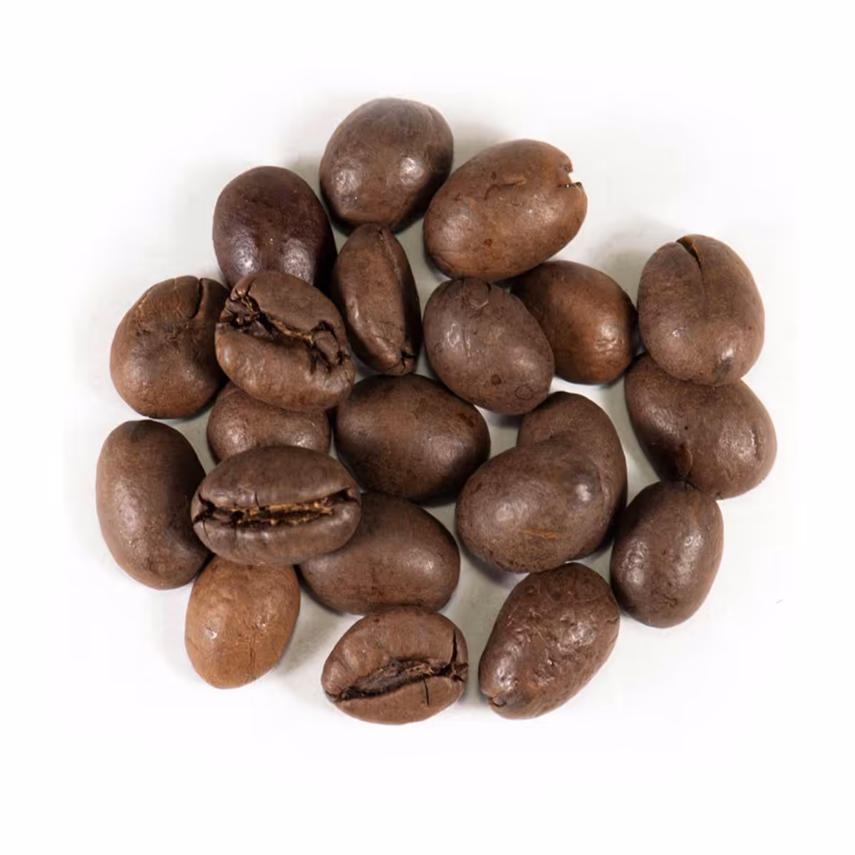 دان قهوه هند Pea Berry رُست مدیوم شکلاتی 500 گرم