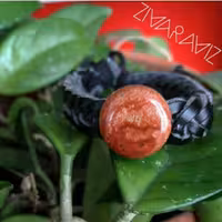 دستبند چرمی  با  سنگ  جاسپر سرخ   قابل تعویض با  انواع سنگ های عقیق و کوارتز 