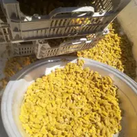 گیاهان عطاری گل بیدمشک دم نوش چای مانند کم خونی آهن طبیعی 