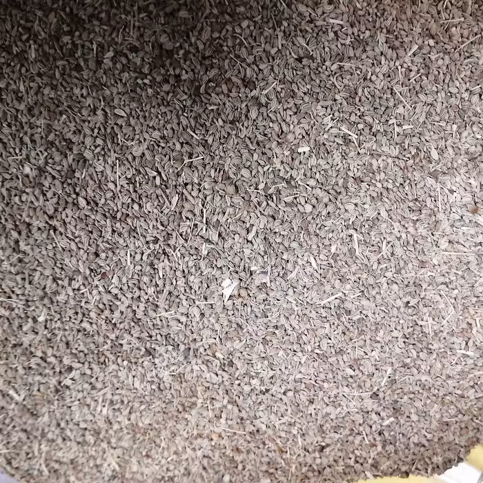 خردانه یا زنیان 75 گرم اعلا