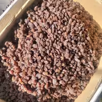 مویز یا کشمش مراغه