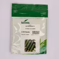 بذر خیار بوته ای آمریکایی ویکتور  (VICTOR MVR F1) سمینیس بسته 2500 عددی