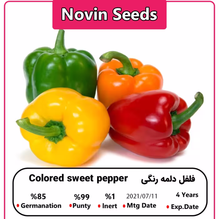 بذر فلفل دلمه رنگی (گلخانه ای)