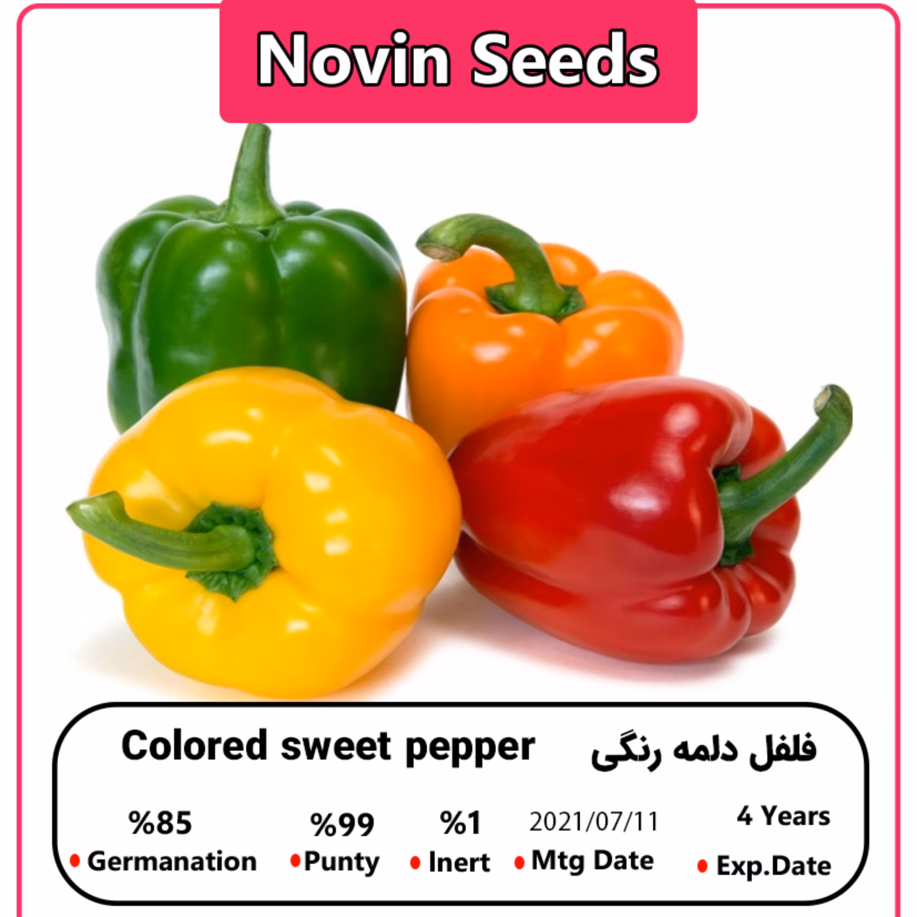 بذر فلفل دلمه رنگی (گلخانه ای)