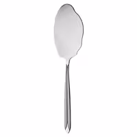 کفگیر برنج ناب استیل طرح پالرمو مات (1 پارچه)