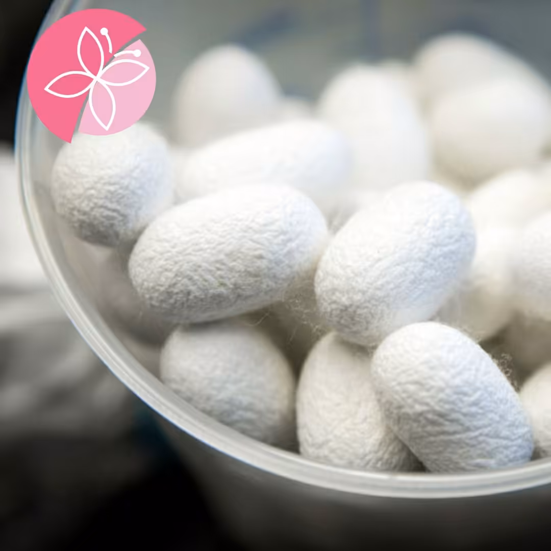 پیله ابریشم 50عددی