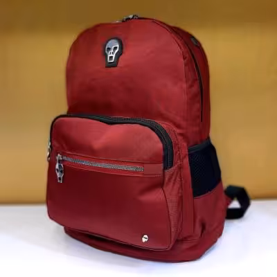 کوله پشتی مدل اسکلت