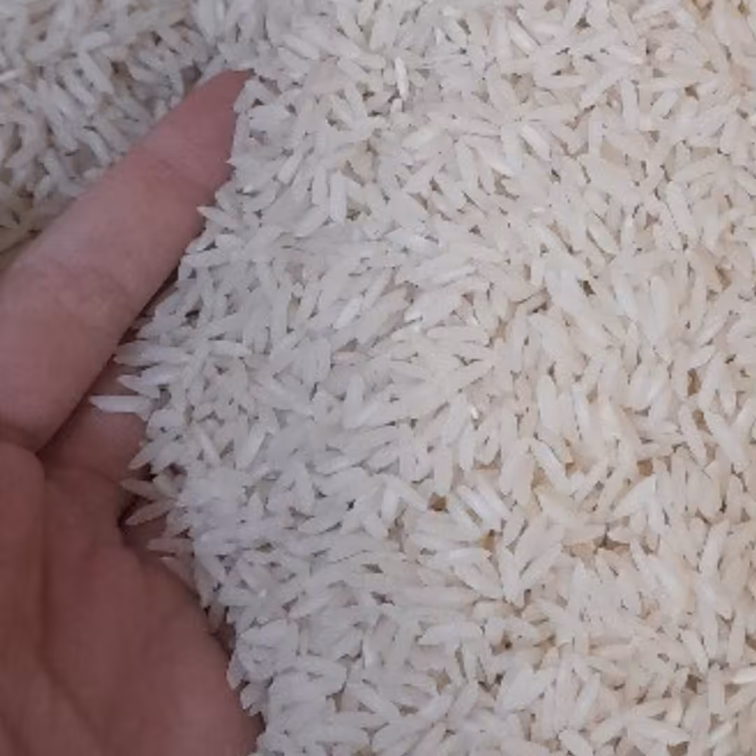 برنج هاشمی درجه یک گیلان فوق اعلاء کیسه های 10 کیلویی
