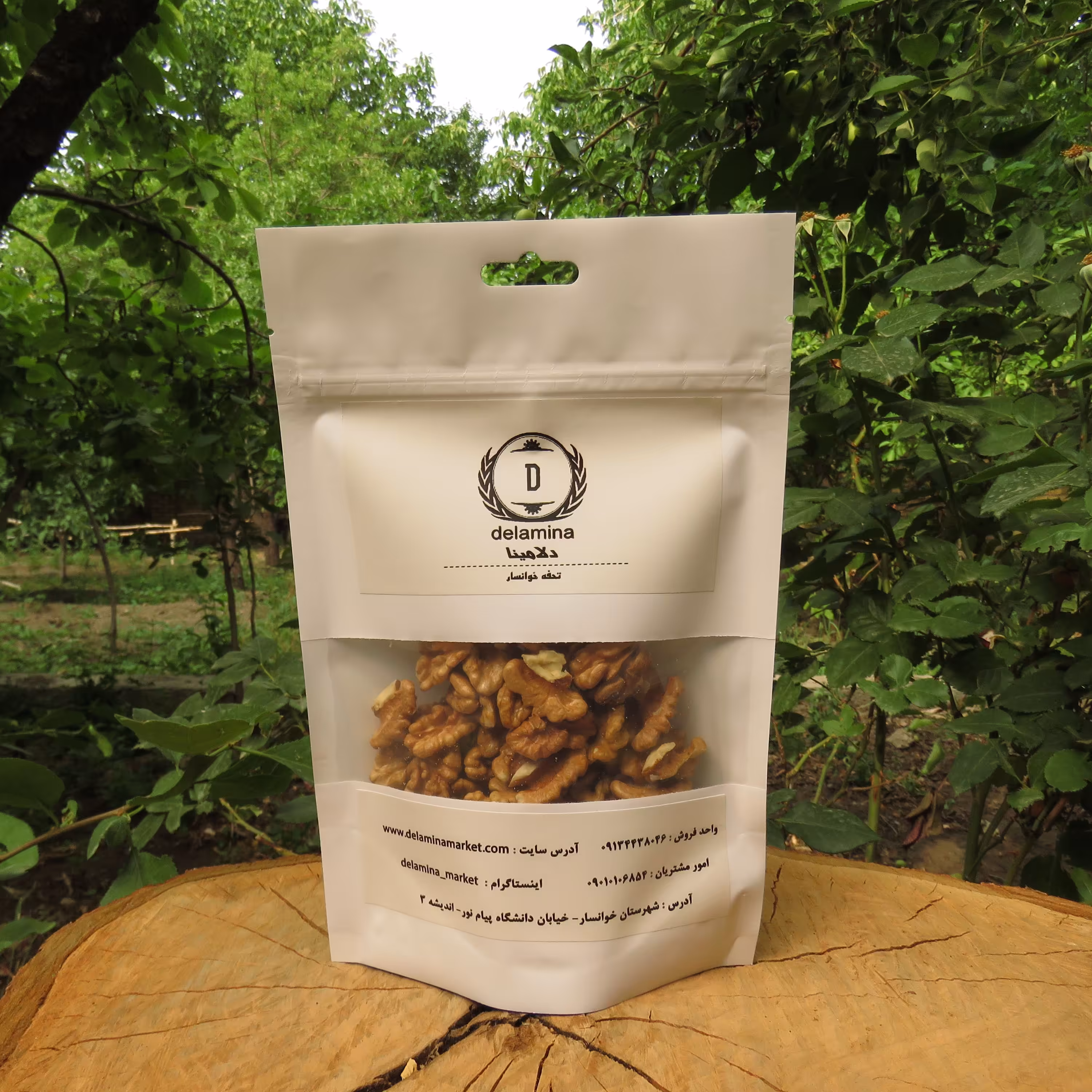 مغز گردو سفید خوانسار - 1 کیلویی