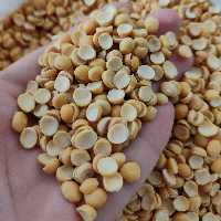 لپه درشت تبریز