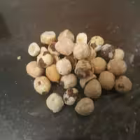 مغز فندوق (ریزومتوسط)