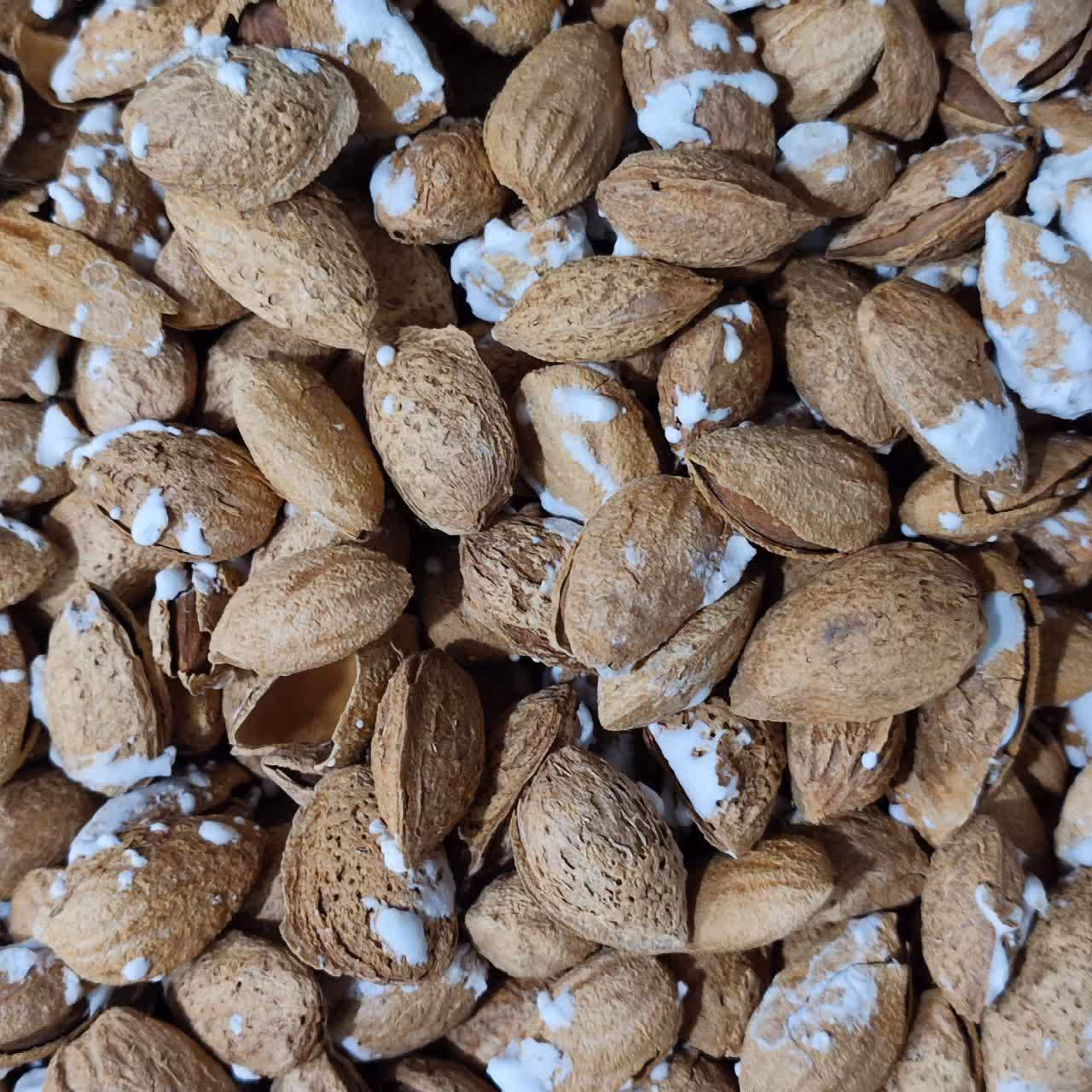 بادام پوست کاغذی شور 250 گرمی