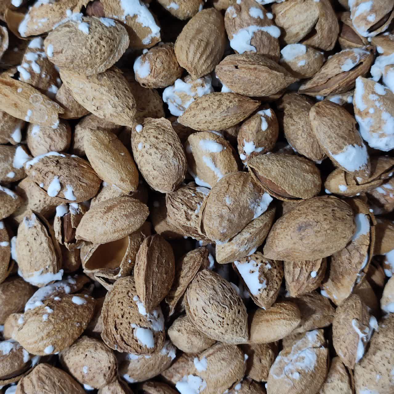 بادام پوست کاغذی شور 250 گرمی