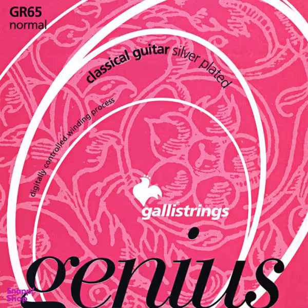 سیم گیتار کلاسیک گالی مدل CRYSTAL GR65