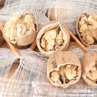 فروش ویژه      گردوی پوست کاغذی تویسرکان محصول امسال گردوی تویسرکان قالب ریزتر از بعضی گردوها دارد .ریزودرشت مخلوط هست 