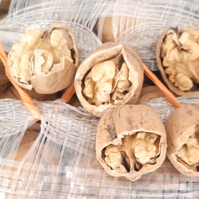 فروش ویژه      گردوی پوست کاغذی تویسرکان محصول امسال گردوی تویسرکان قالب ریزتر از بعضی گردوها دارد .ریزودرشت مخلوط هست 